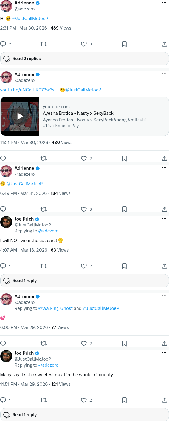Screenshot archive of additional flirtatious Adrienne Rockenhaus (@adezero) posts to Joe Prich (@JustCallMeJoeP), including Hi with pleading emoji, smiling emoji replies, heart emoji, and Joe Prich cat-ears and innuendo replies.